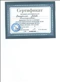 Сертификат участника семинара "Духовно-нравственное воспитание детей в условиях реализации ФГОС",2019г. Сертификат участника семинара "Духовно-нравственное воспитание детей в условиях реализации ФГОС",2019г.